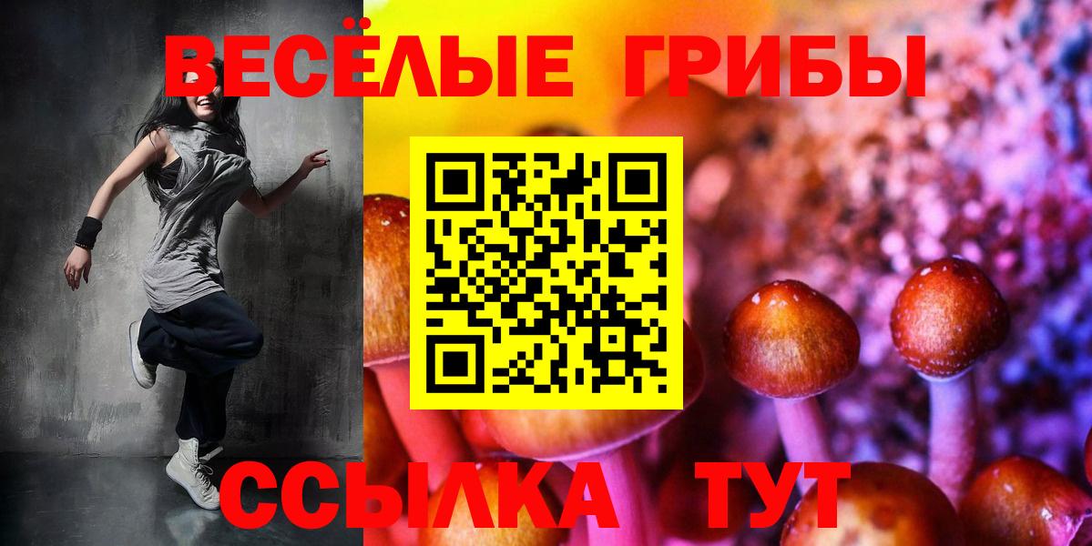 Кубинка  Псилоцибиновые грибы MAGIC MUSHROOMS  наркошоп  Вход с VPN 
